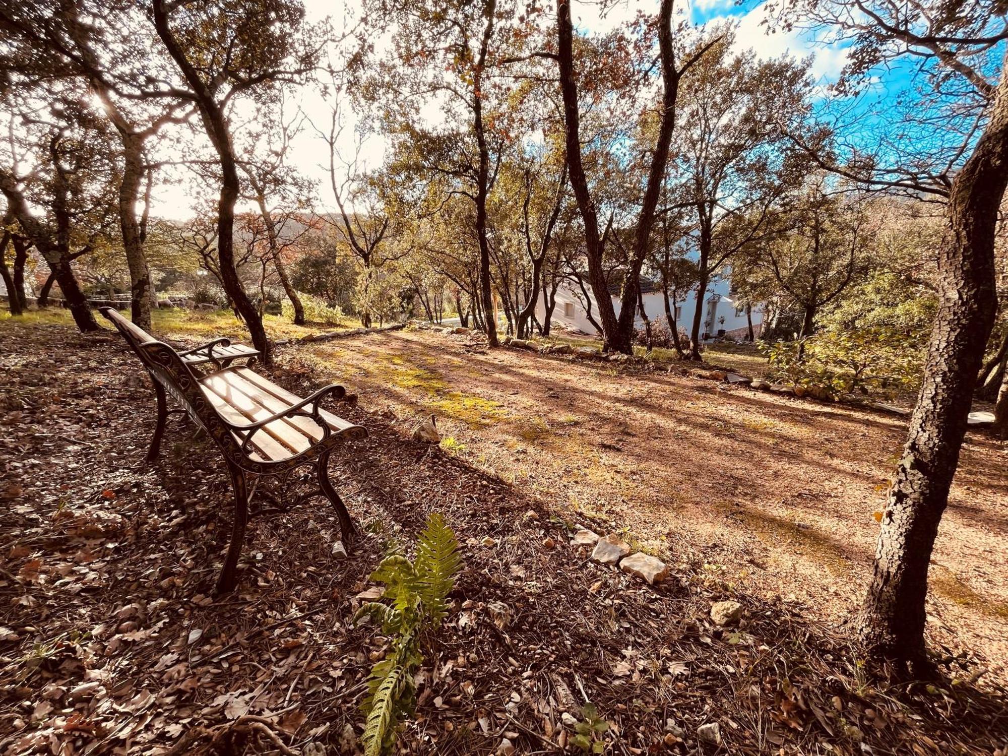 Villa Alba En Provence Besse-sur-Issole 외부 사진